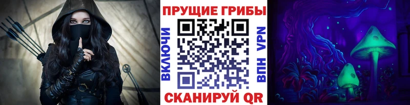 Галлюциногенные грибы мицелий  Мещовск 