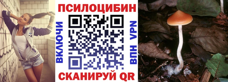 Галлюциногенные грибы мицелий Мещовск